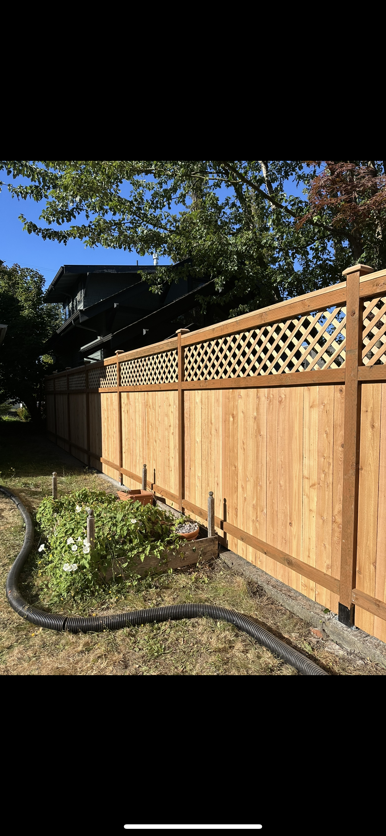 Lattice-top cedar fence