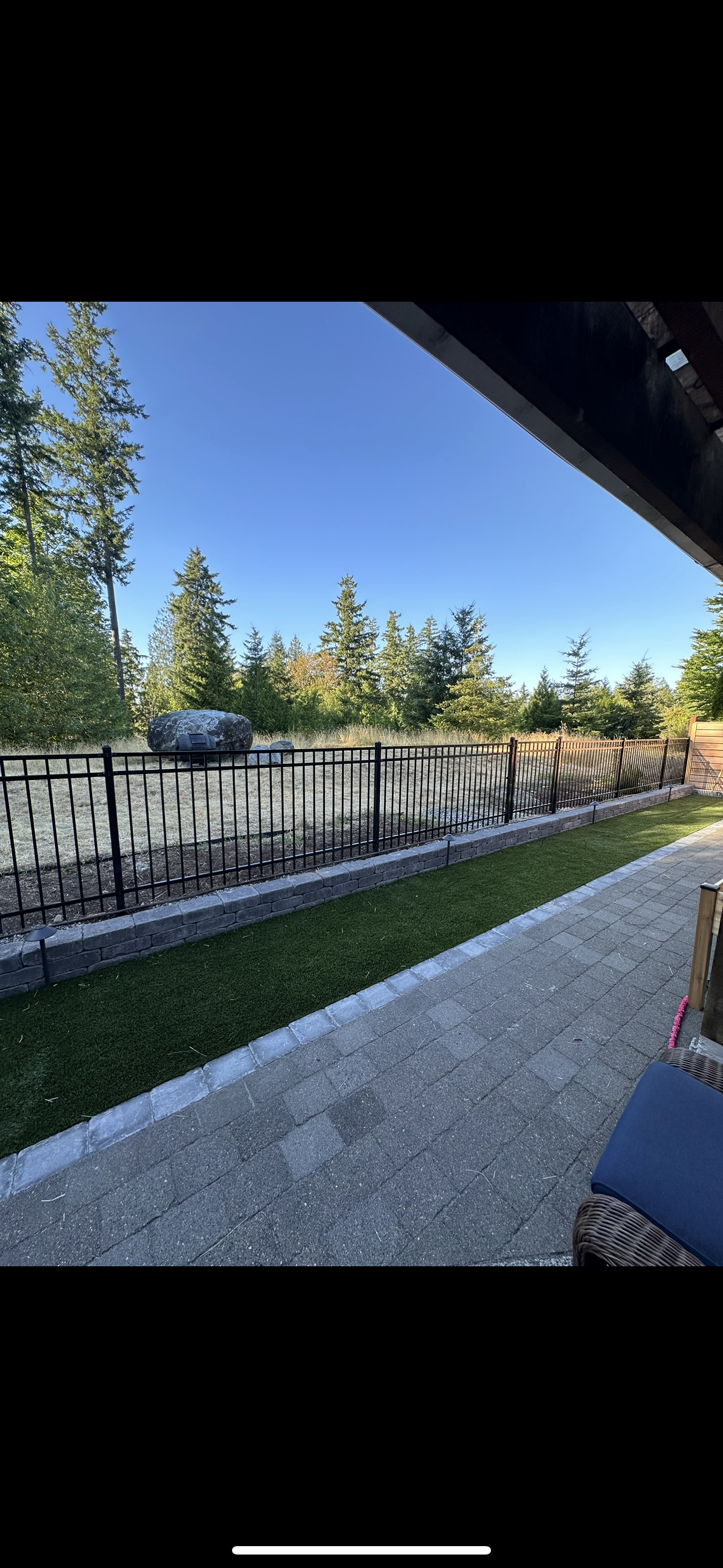 Metal fence along trees
